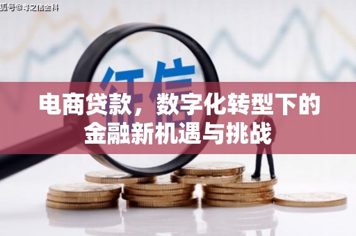 凌源电商贷款，数字化转型下的金融新机遇与挑战