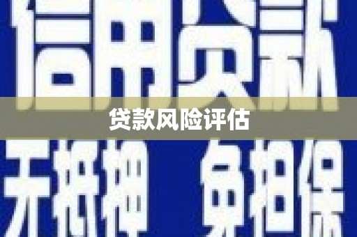 凌源贷款风险评估