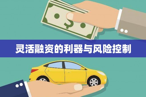 凌源灵活融资的利器与风险控制