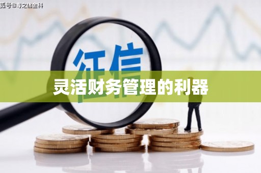 凌源灵活财务管理的利器