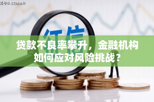 凌源贷款不良率攀升，金融机构如何应对风险挑战？