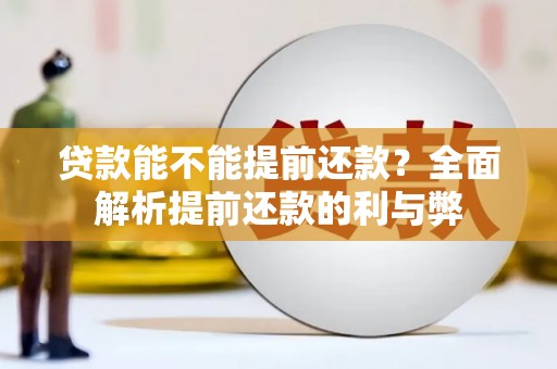 凌源贷款能不能提前还款？全面解析提前还款的利与弊