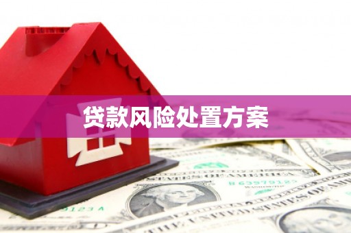 凌源贷款风险处置方案