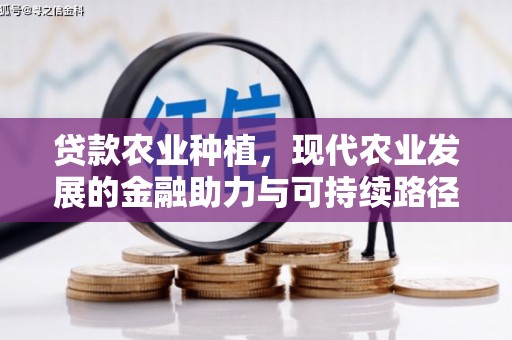 凌源贷款农业种植，现代农业发展的金融助力与可持续路径