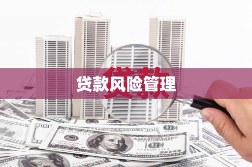 凌源贷款风险管理