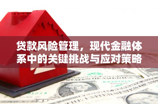 凌源贷款风险管理，现代金融体系中的关键挑战与应对策略