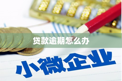 凌源贷款逾期怎么办