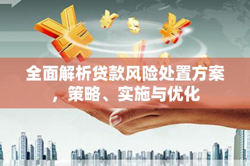 凌源全面解析贷款风险处置方案，策略、实施与优化