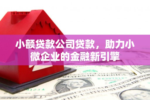 凌源小额贷款公司贷款，助力小微企业的金融新引擎