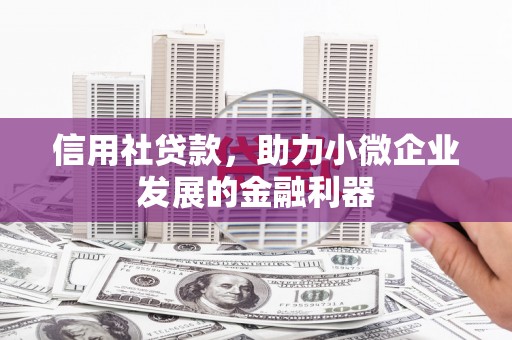 凌源信用社贷款，助力小微企业发展的金融利器