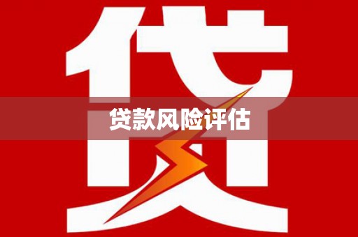 凌源贷款风险评估