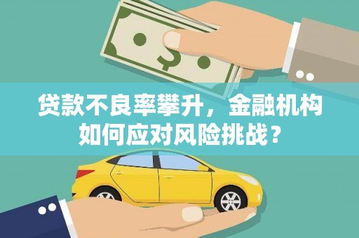 凌源贷款不良率攀升，金融机构如何应对风险挑战？