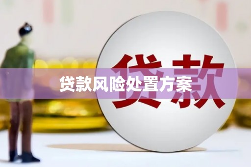 凌源贷款风险处置方案