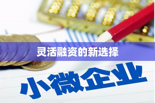 凌源灵活融资的新选择
