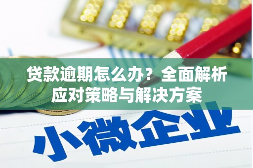 凌源贷款逾期怎么办？全面解析应对策略与解决方案