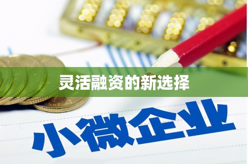 凌源灵活融资的新选择