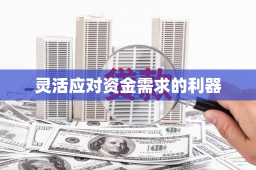 凌源灵活应对资金需求的利器