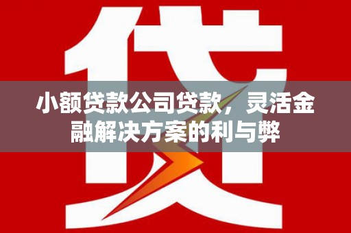 凌源小额贷款公司贷款，灵活金融解决方案的利与弊